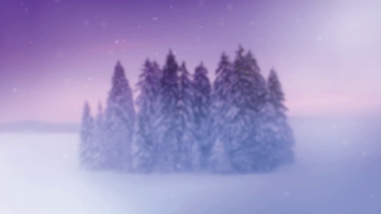 We wish you all a great holiday season!